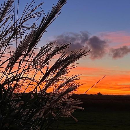 Villa The Perch - Southwold Luxury And Blissful Views Extérieur photo